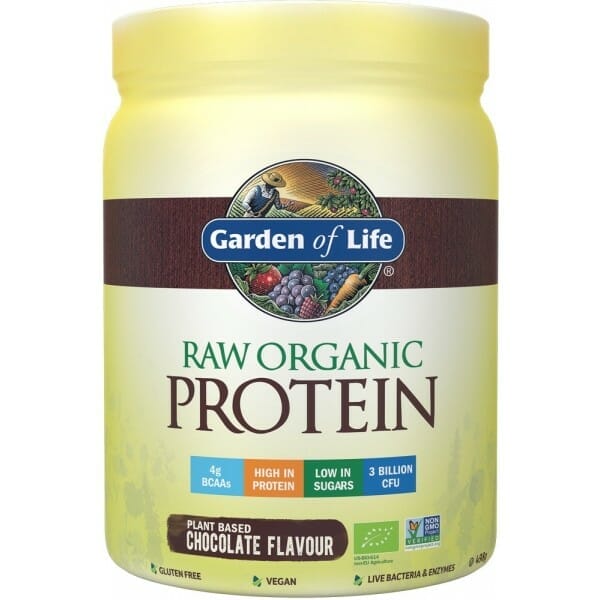 garden of life protein chocolate